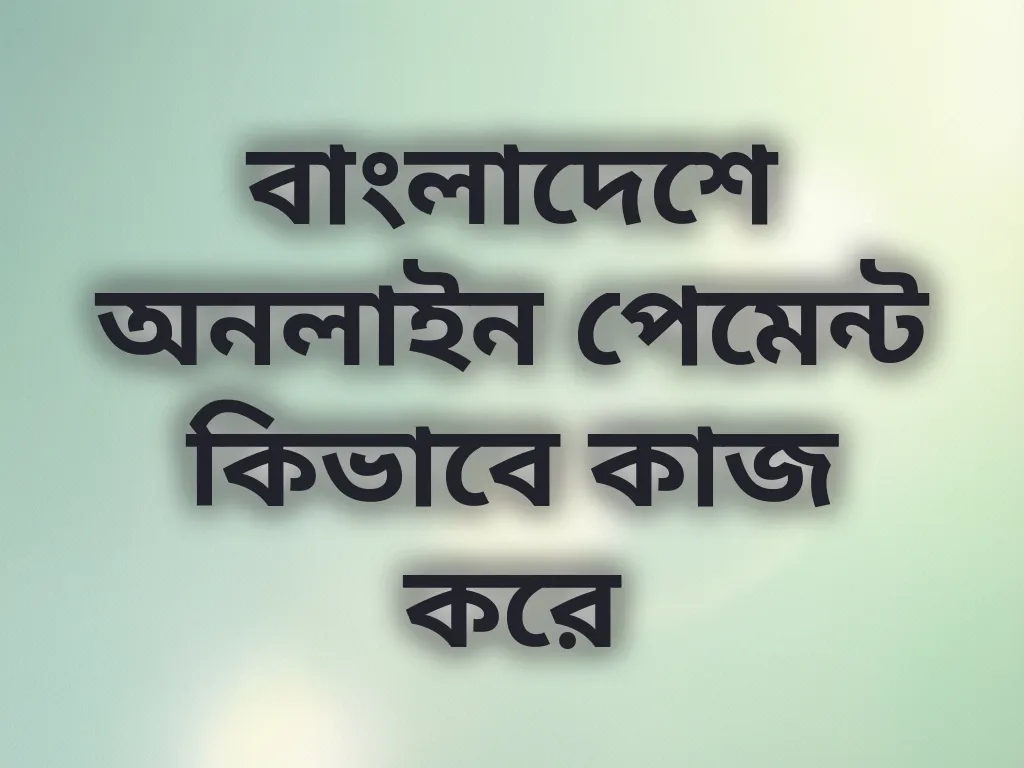 লোকাল পেমেন্ট গাইড
